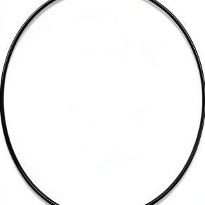 Rega Drive Belt Reference EBLT Turntable Belt-0