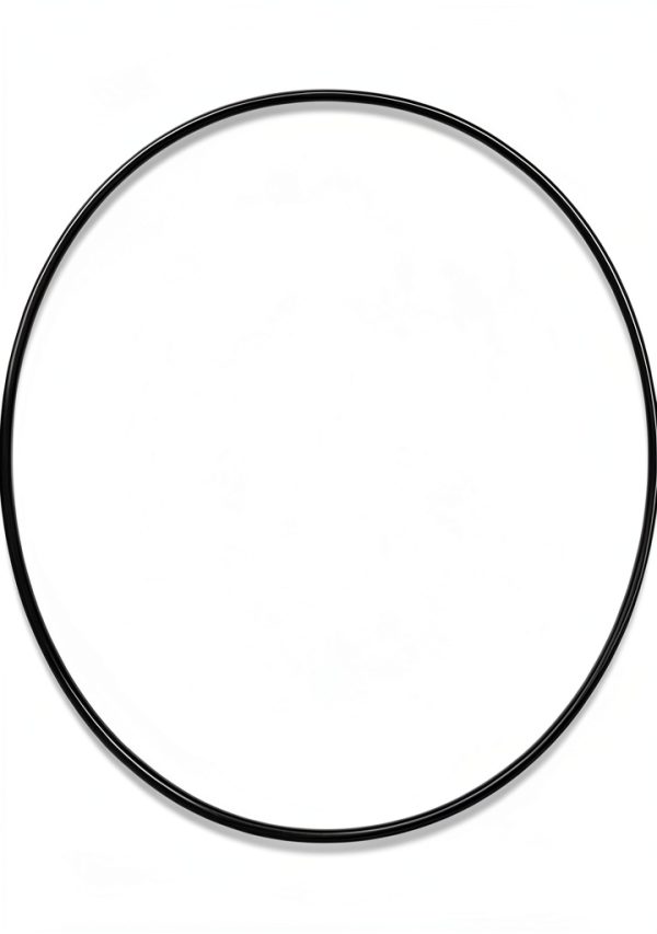 Rega Drive Belt Reference EBLT Turntable Belt-0