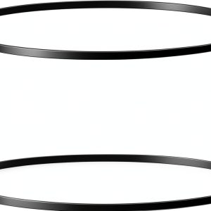 QJZXUEZHEN Rubber Turntable Belt 200mm Replacement 2pcs-0