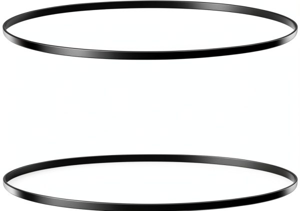 QJZXUEZHEN Rubber Turntable Belt 200mm Replacement 2pcs-0